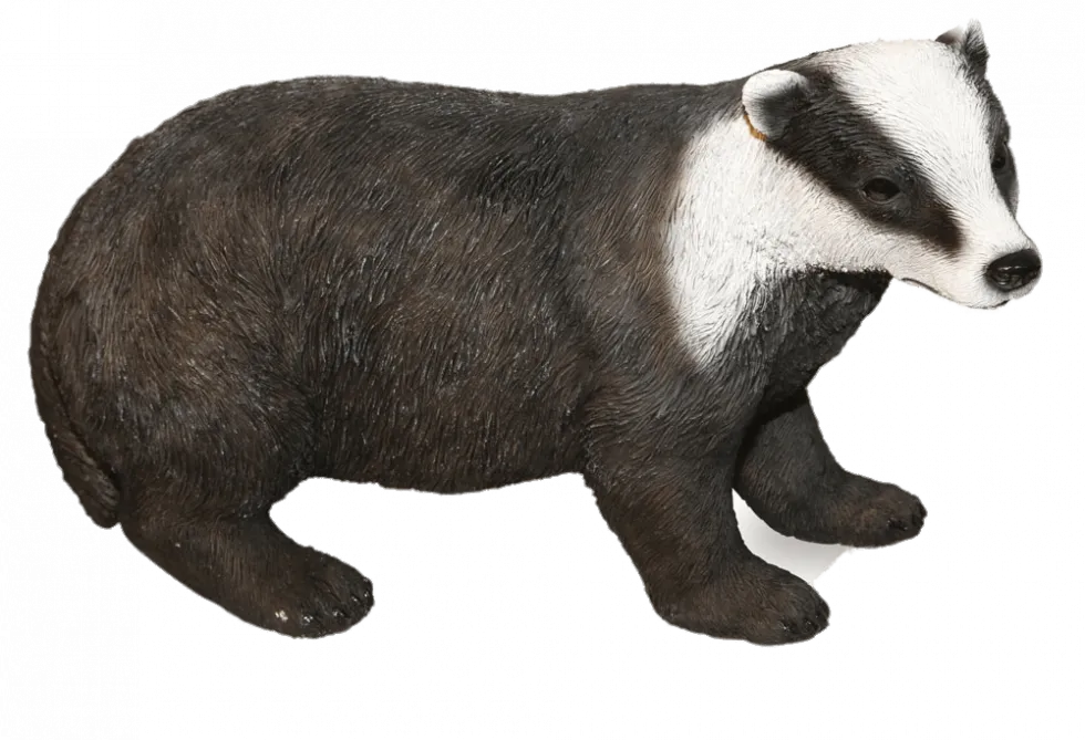 Badger sleeping, peaceful nature scene, cozy wildlife PNG